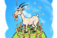 Illustration Ziege, Copyright Angel Miguelez