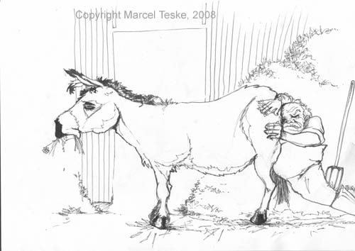Esel Illustration von Marcel Teske